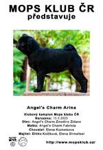 Angel's Charm Arina