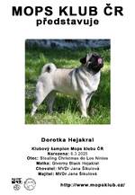 Dorotka Hejakral
