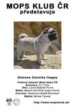 Simone Cornika Happy